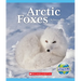 Arctic Foxes (Nature's Children)