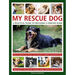 My Rescue Dog