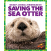 Saving the Sea Otter