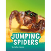 Jumping Spiders