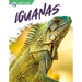 Iguanas