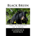 Black Bruin