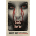 Dark Horse: Book Two of Darkness Rises, a British Vampire Horror Series