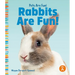 Rabbits Are Fun!