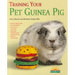Training Your Pet Guinea Pig