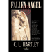 Fallen Angel