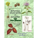 Botanical Illustration in Gouache - The Four Seasons