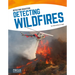 Detecting Wildfires