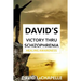 David's Victory Thru Schizophrenia: Healing Awareness