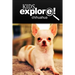 Chihuahua - Kids Explore: Animal books nonfiction - books ages 5-6