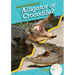 Alligator or Crocodile?