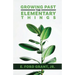 Growing Past the Elementary Things