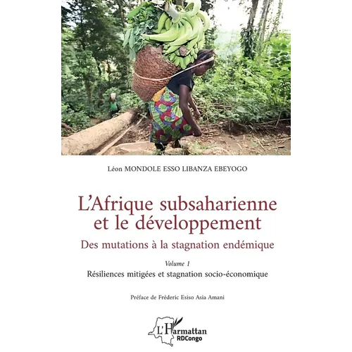 L'Afrique subsaharienne et le développement: Des mutations à la stagnation endémique - Volume 1 Résiliences mitigées et stagnation socio-économique