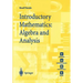 Introductory Mathematics: Algebra and Analysis