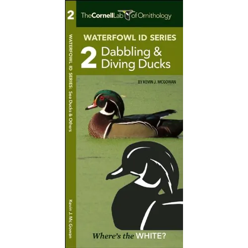 Waterfowl Id Series: 2 Dabbling & Diving Ducks