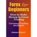 Forex for Beginners: How to Make Money in Forex Trading (Currency Trading Strategies)