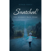 Snatched!: The Journey Back Home