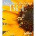 Next Time You See a Bee