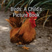 Birds: A Child's Picture Book