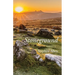 Stoneground