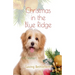 Christmas in the Blue Ridge, Saving Bethlehem