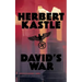 David's War