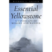 Essential Yellowstone: A Landscape of Memory and Wonder