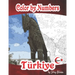 Color by Number Türkiye Volume I