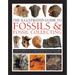 The Illustrated Guide to Fossils & Fossil Collecting: A Reference Guide to Over 375 Plant and Animal Fossils from Around the Globe and How to Identify