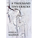 A Thousand Tiny Cracks