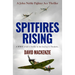 Spitfires Rising: A WWII aviation thriller in the lead up to Dunkirk...