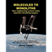 Molecules to Monoliths How Engineering Careers Make (Almost) Everything Happen.: An Introduction to Engineering. the Ultimate Multiple Choice Career.