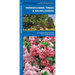 Pennsylvania Trees & Wildflowers: A Folding Pocket Guide to Familiar Plants