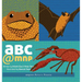 Abc@mnp