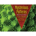 Mysterious Patterns: Finding Fractals in Nature
