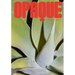 Stephie Braun: Opaque