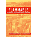 Flammable: Environmental Suffering in an Argentine Shantytown
