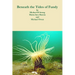 Beneath the Tides of Fundy