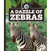 A Dazzle of Zebras