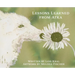 Lessons Learned from Atka