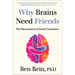 Why Brains Need Friends: The Neuroscience of Social Connection