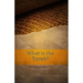 What is the Torah?