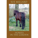 Horses in the Garden