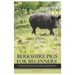 Berkshire Pigs for Beginners: A New Farmers Guide for Raising and Caring for Berkshire Pig, equipped with Everything You Need to Know to Get Started