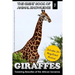 Giraffes: Towering Beauty of the African Savanna