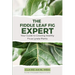 The Fiddle Leaf Fig Expert: Your Guide to Growing Healthy Ficus Lyrata Plants