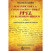 Semántica de la Conjugación Verbal: Pi'el En El Hebreo Bíblico: Ensayo En El Libro de Jueces