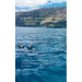 Cruises... in a different way! Compact Travel Guide Canary Islands 2019/2020: Teneriffa, Fuerteventura, Gran Canaria, Lanzarote, La Palma, La Gomera