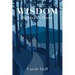Wisdom Builds Her House