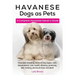 Havanese Dogs as Pets: Havanese breeding, where to buy, types, care, temperament, cost, health, showing, grooming, diet, training, and much m